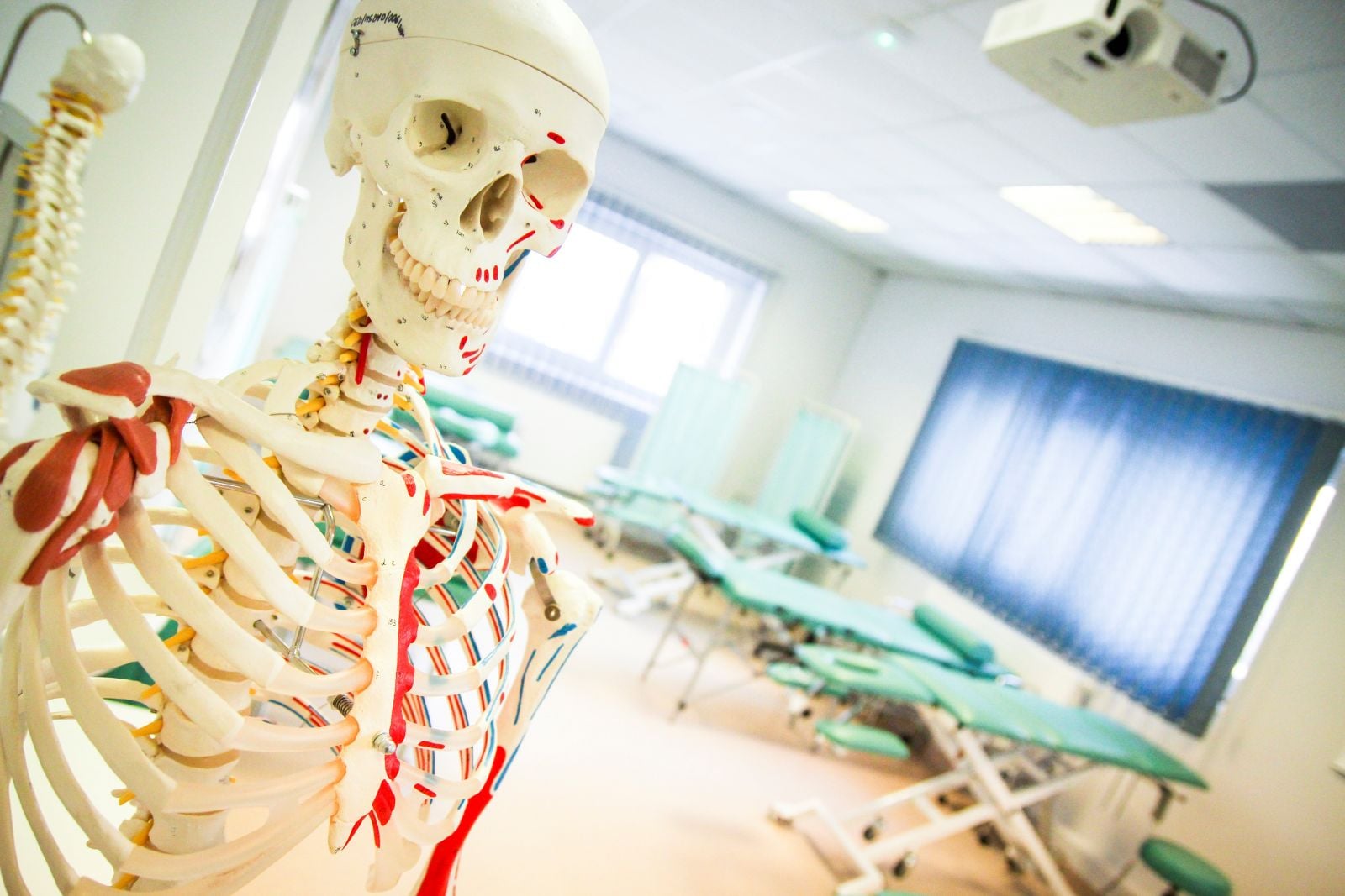 Pracownia masażysty